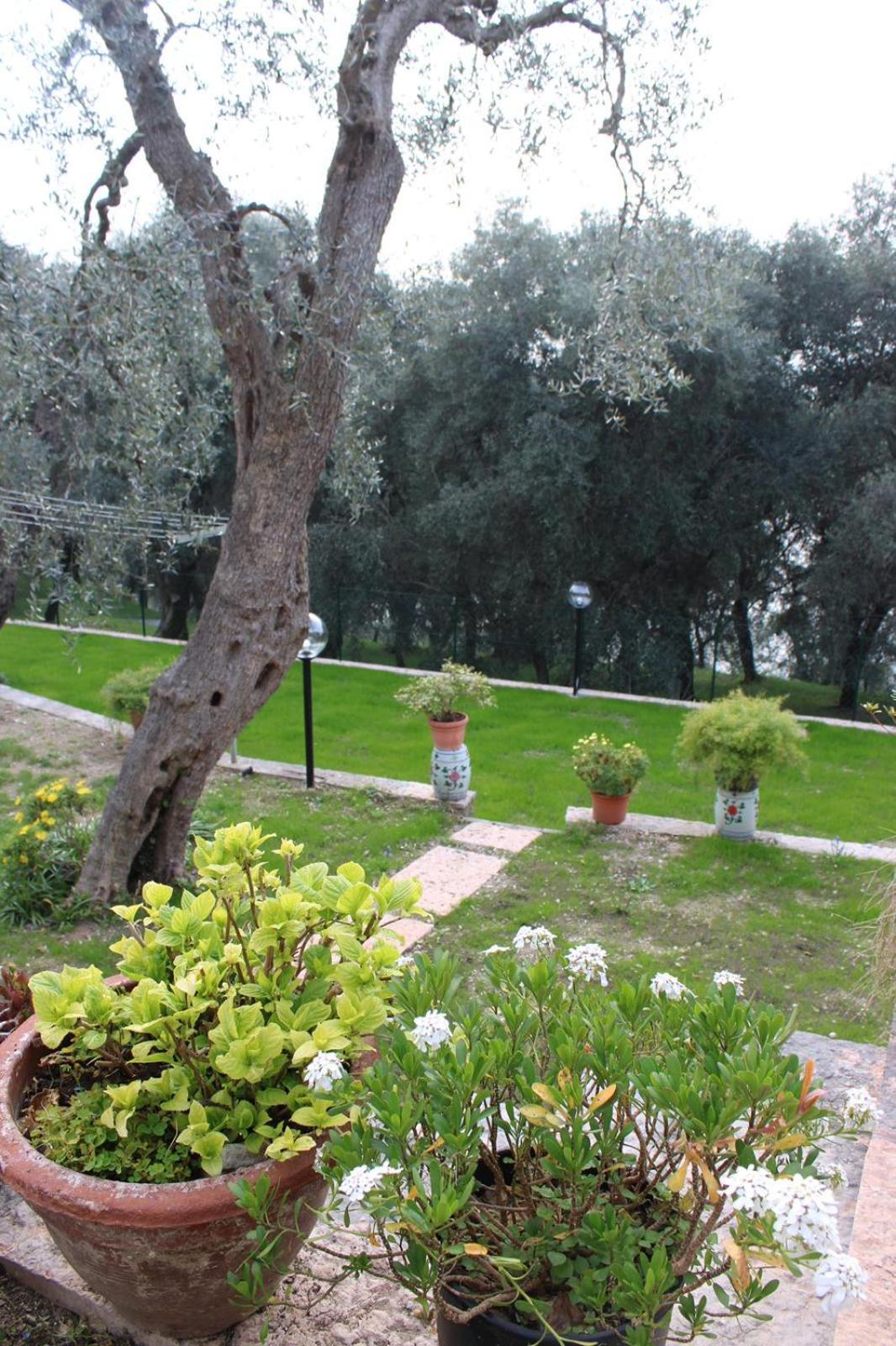 Casa Antony Appartement Torri Del Benaco Buitenkant foto